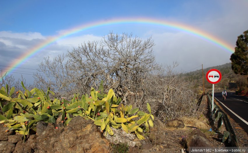 Чудо-остров, чудо-остров, жить на нём легко и просто !!! Игровые куклы Käthe Kruse. Одежда для кукол своими руками