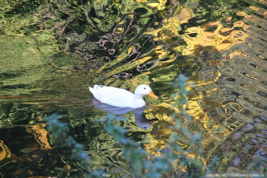 Джонина от Цвергназе и краски осени. Одежда своими руками