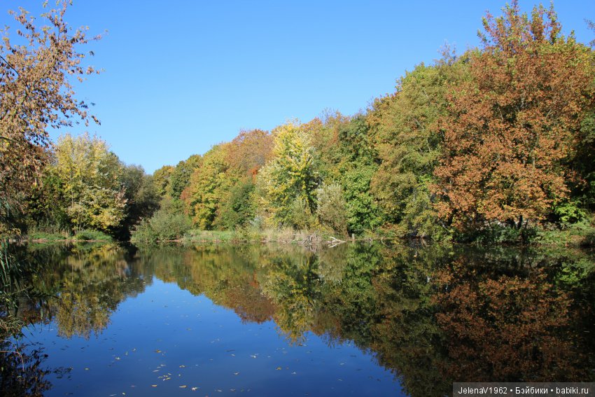 Джонина от Цвергназе и краски осени. Одежда своими руками