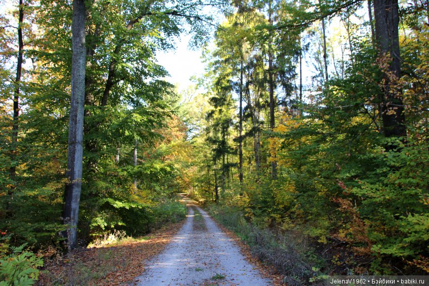 Джонина от Цвергназе и краски осени. Одежда своими руками (фото 10)