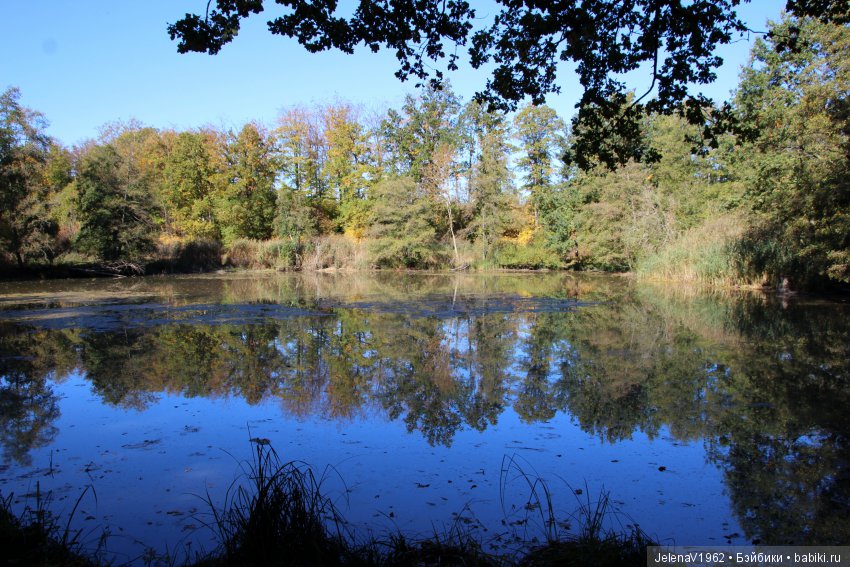 Джонина от Цвергназе и краски осени. Одежда своими руками (фото 7)