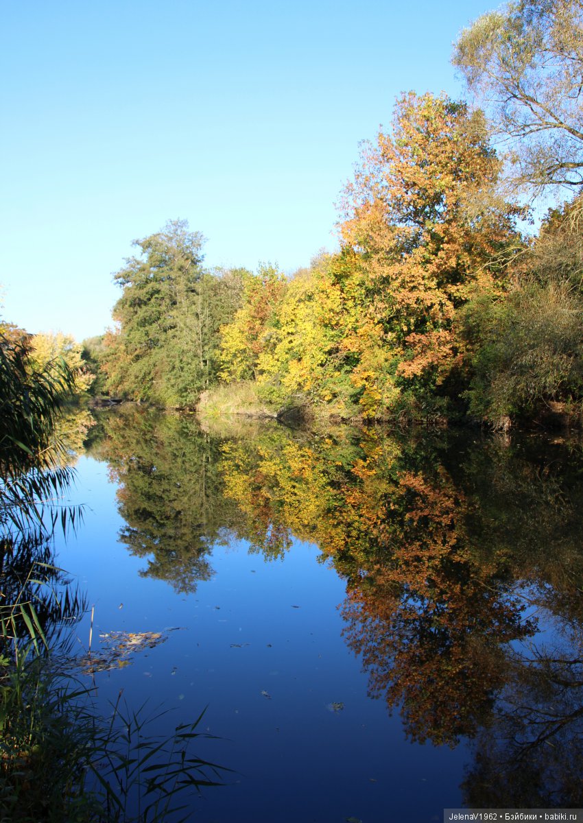 Джонина от Цвергназе и краски осени. Одежда своими руками