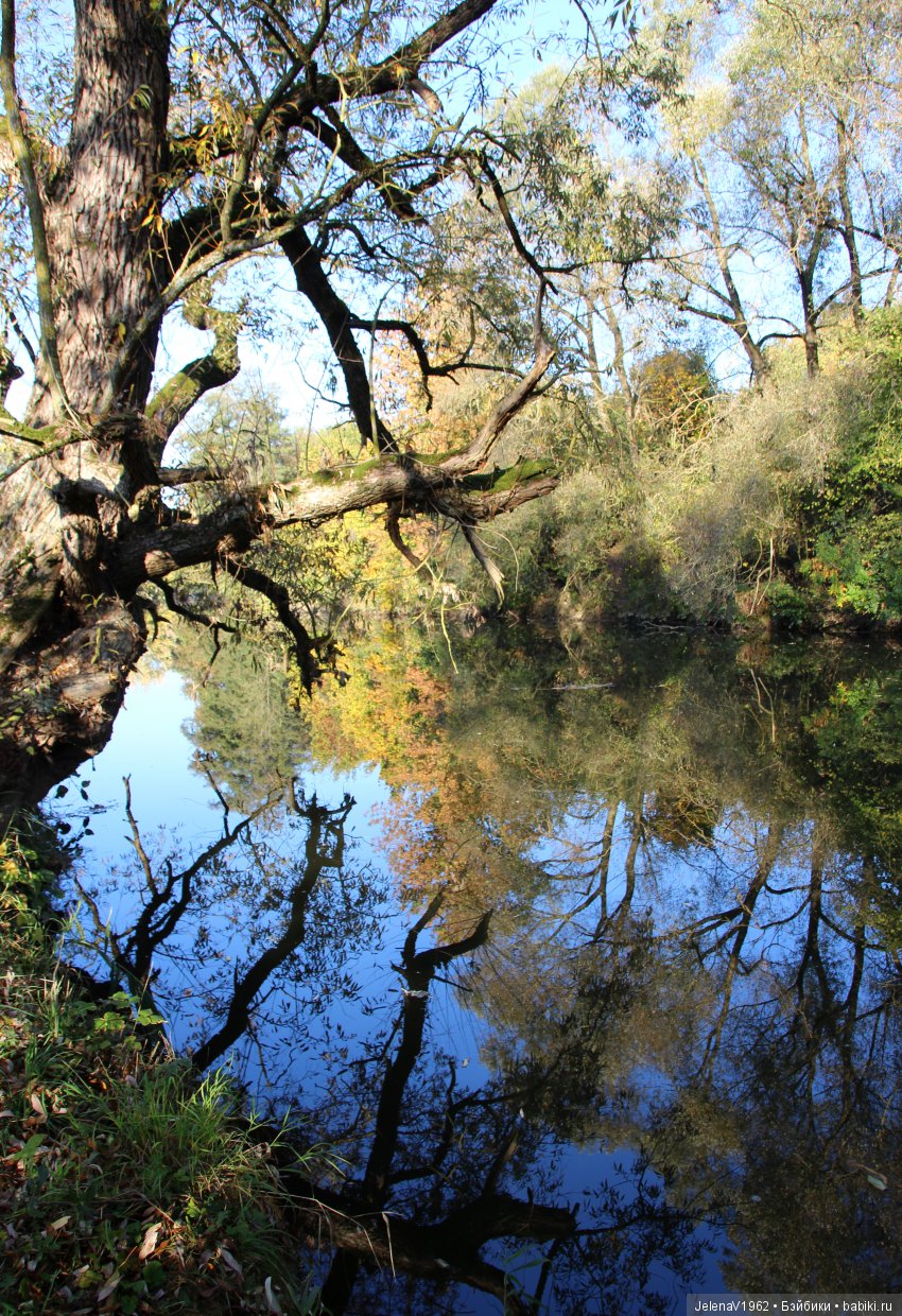 Джонина от Цвергназе и краски осени. Одежда своими руками