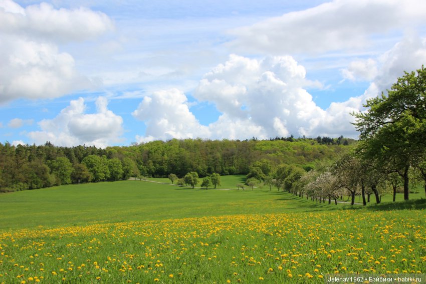 Со мною вот что происходит... или Азалия-3. Zwergnase Junior