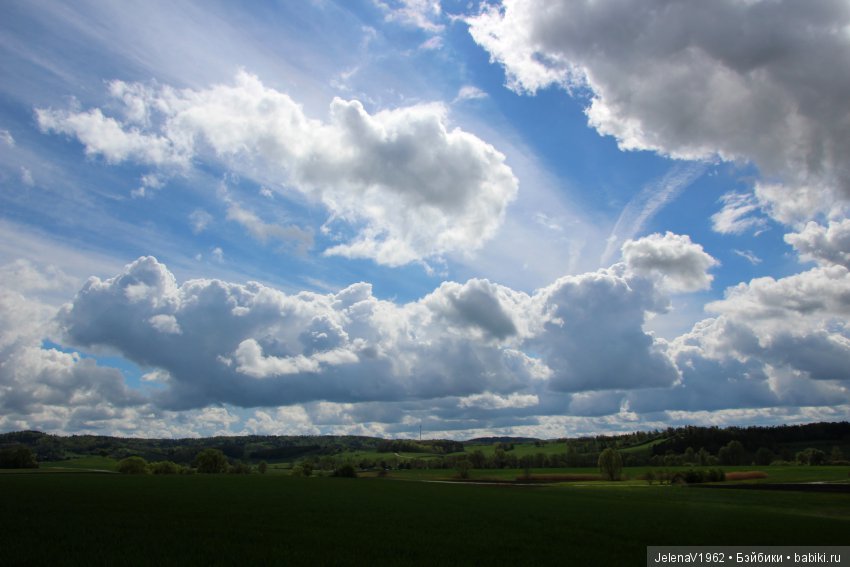 Со мною вот что происходит... или Азалия-3. Zwergnase Junior