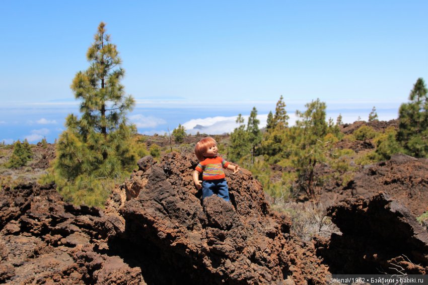 Удивительные цветы Тенерифе глазами Вихтелей