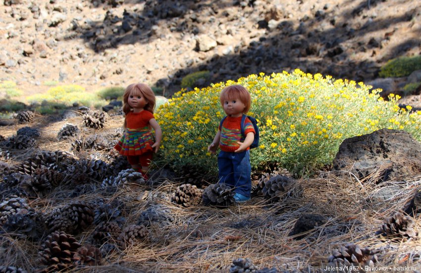 Удивительные цветы Тенерифе глазами Вихтелей