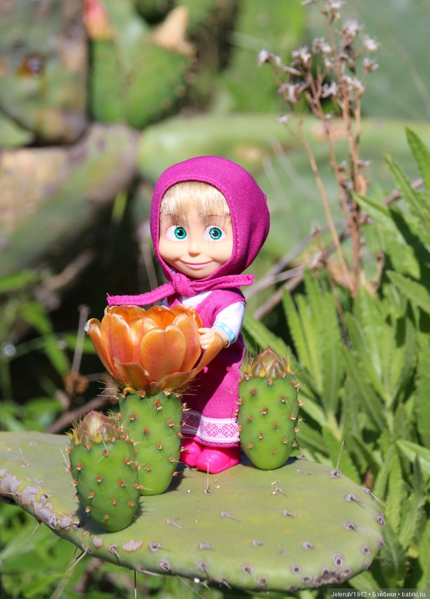 Удивительные цветы Тенерифе глазами Вихтелей