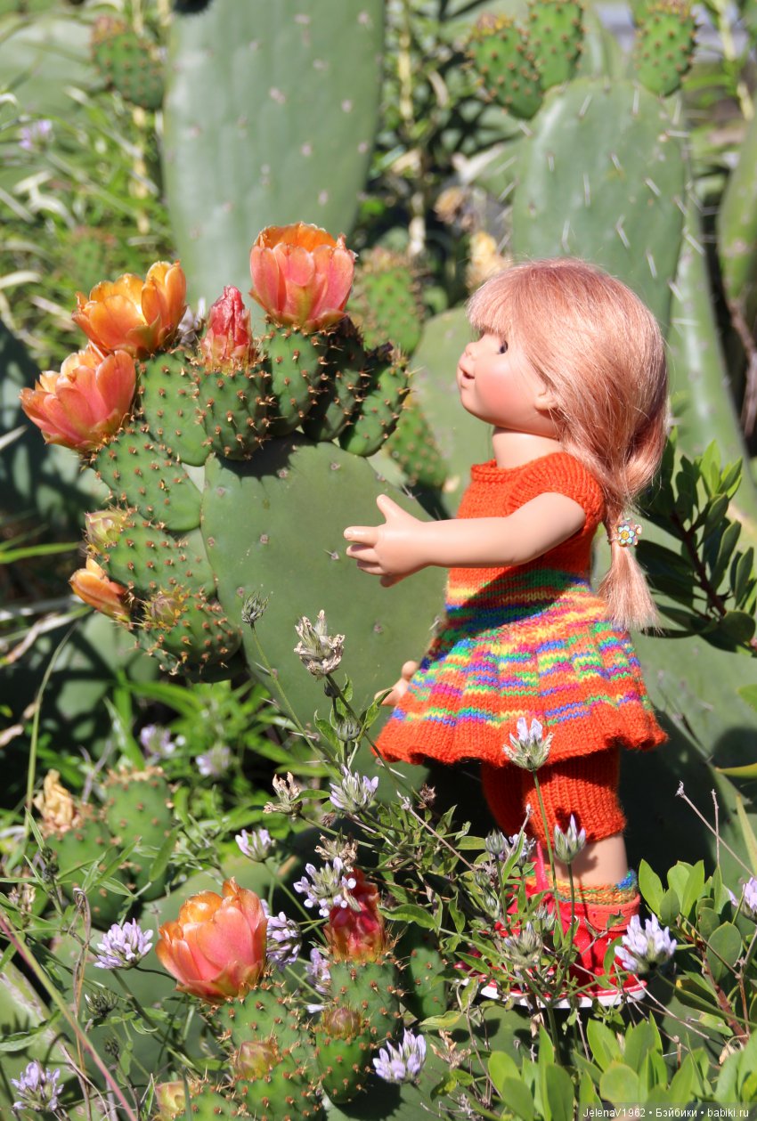 Удивительные цветы Тенерифе глазами Вихтелей