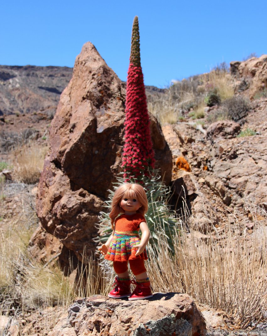 Удивительные цветы Тенерифе глазами Вихтелей (фото 6)