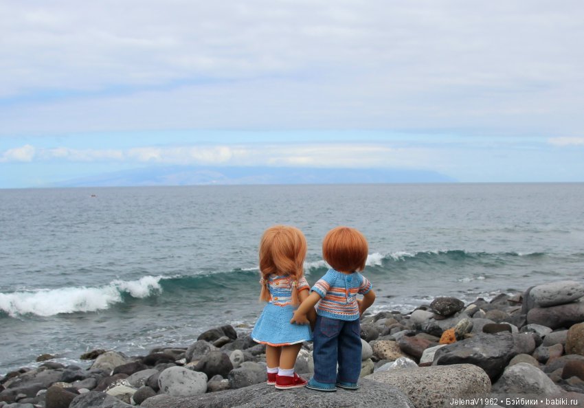 Удивительные цветы Тенерифе глазами Вихтелей