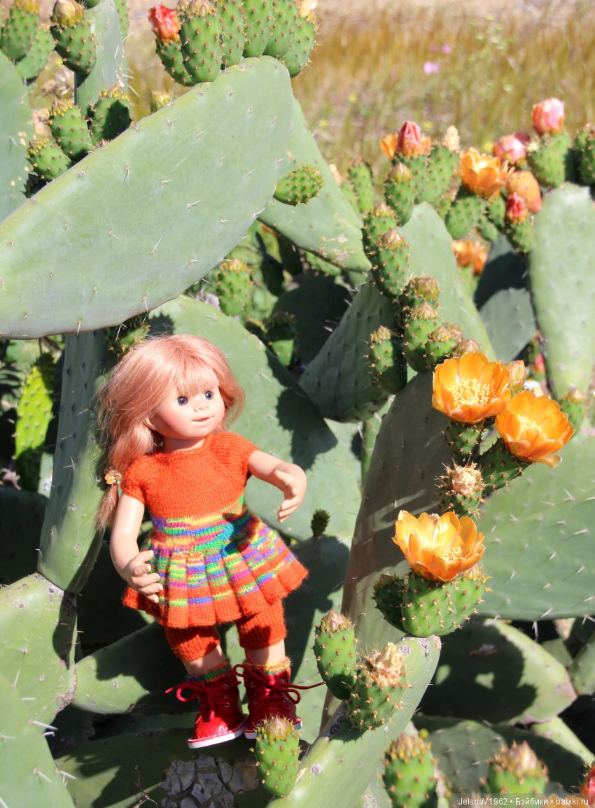 Удивительные цветы Тенерифе глазами Вихтелей