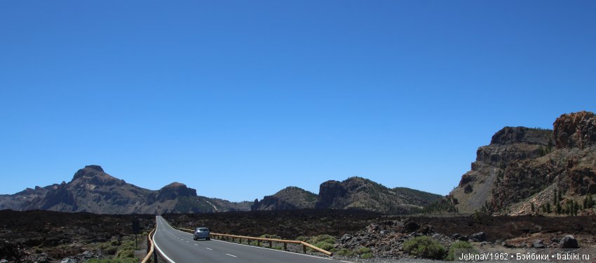 Удивительные цветы Тенерифе глазами Вихтелей