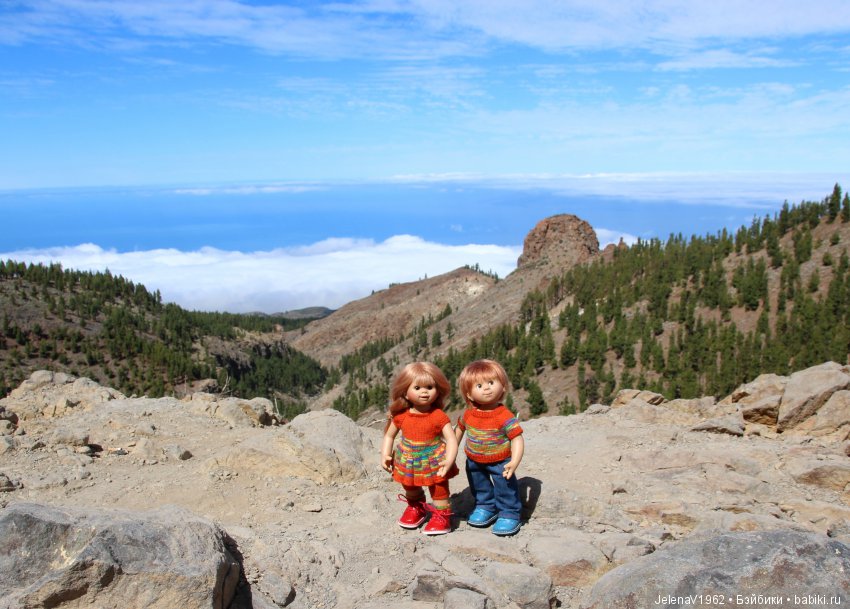 Удивительные цветы Тенерифе глазами Вихтелей