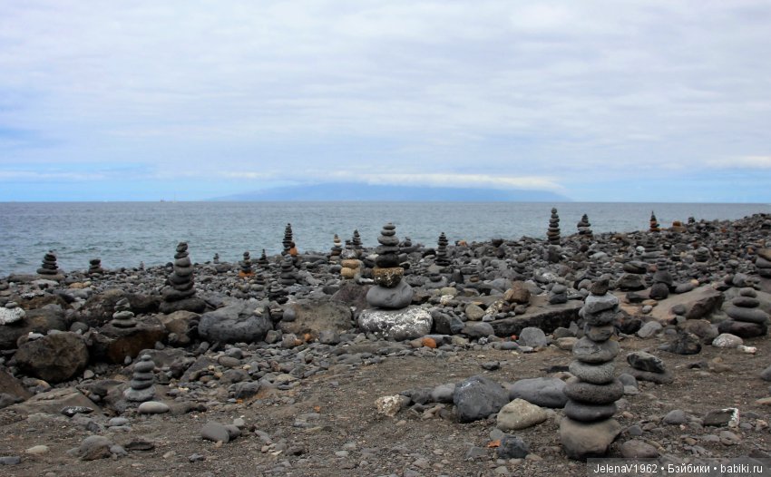 Удивительные цветы Тенерифе глазами Вихтелей