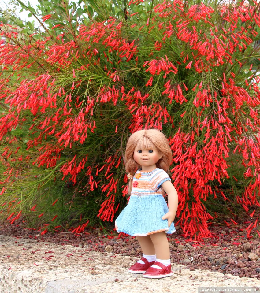 Удивительные цветы Тенерифе глазами Вихтелей