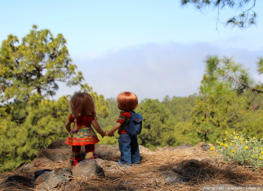 Удивительные цветы Тенерифе глазами Вихтелей