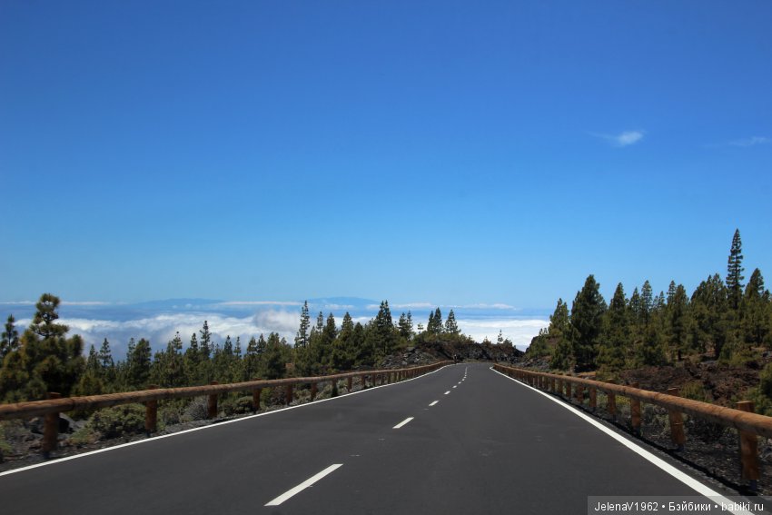 Удивительные цветы Тенерифе глазами Вихтелей