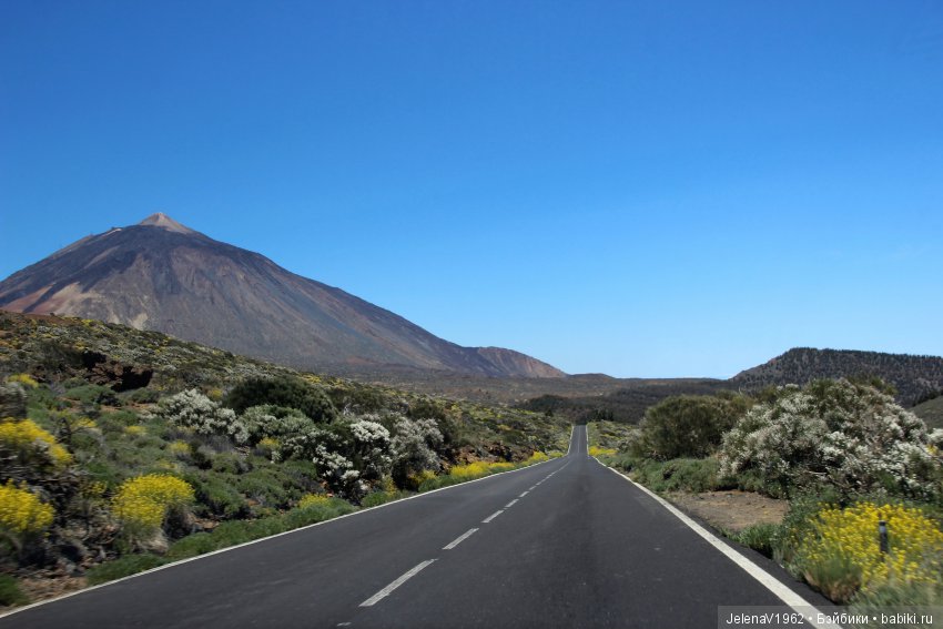 Удивительные цветы Тенерифе глазами Вихтелей