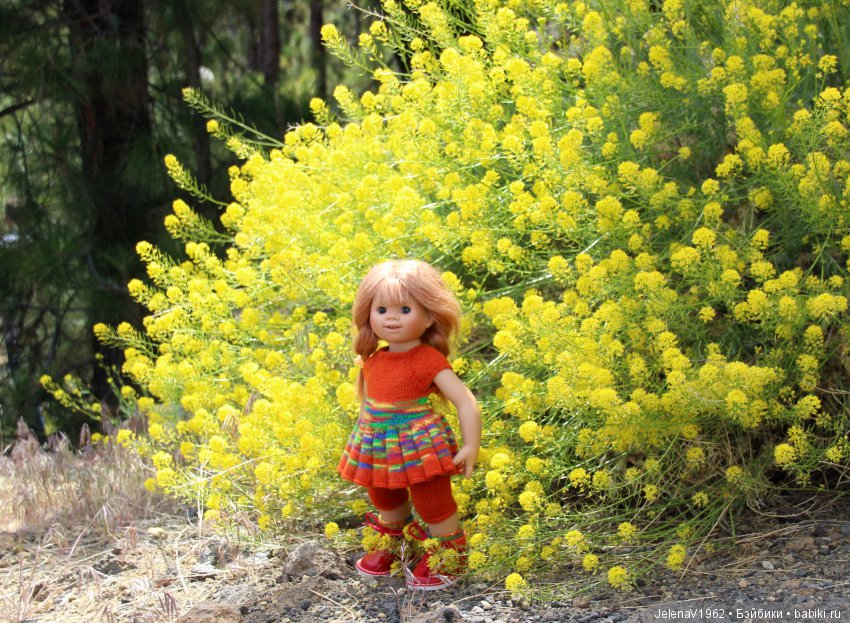 Удивительные цветы Тенерифе глазами Вихтелей