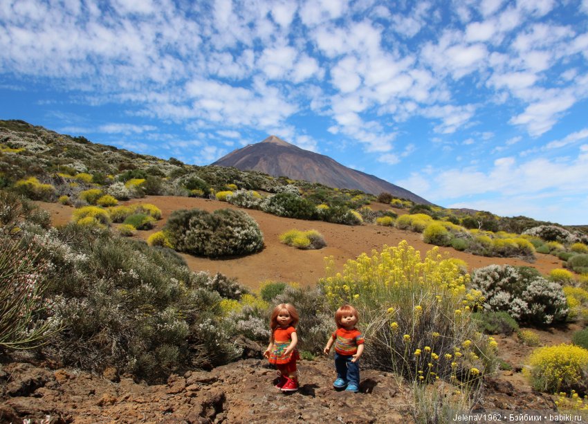 Удивительные цветы Тенерифе глазами Вихтелей