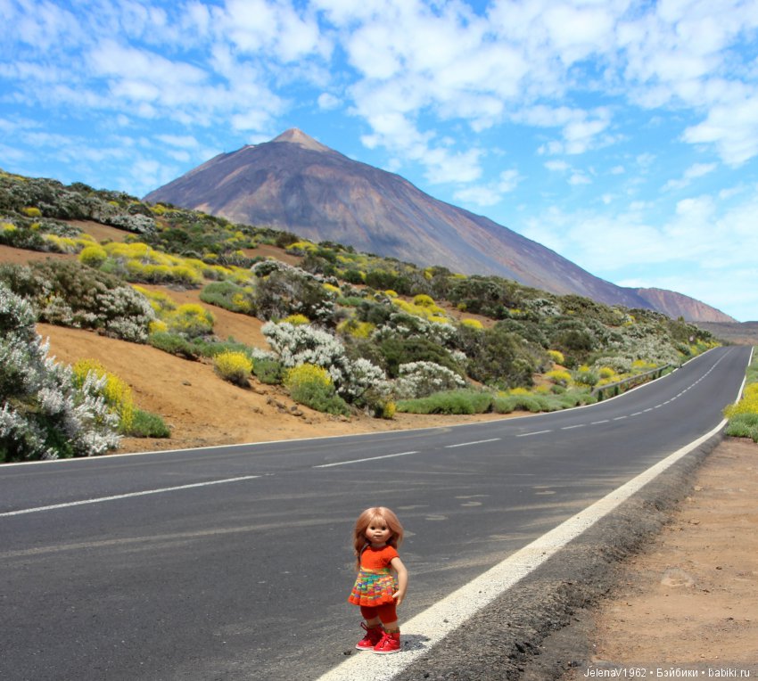 Удивительные цветы Тенерифе глазами Вихтелей