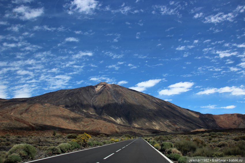 Удивительные цветы Тенерифе глазами Вихтелей