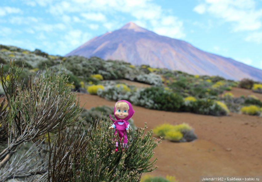 Удивительные цветы Тенерифе глазами Вихтелей