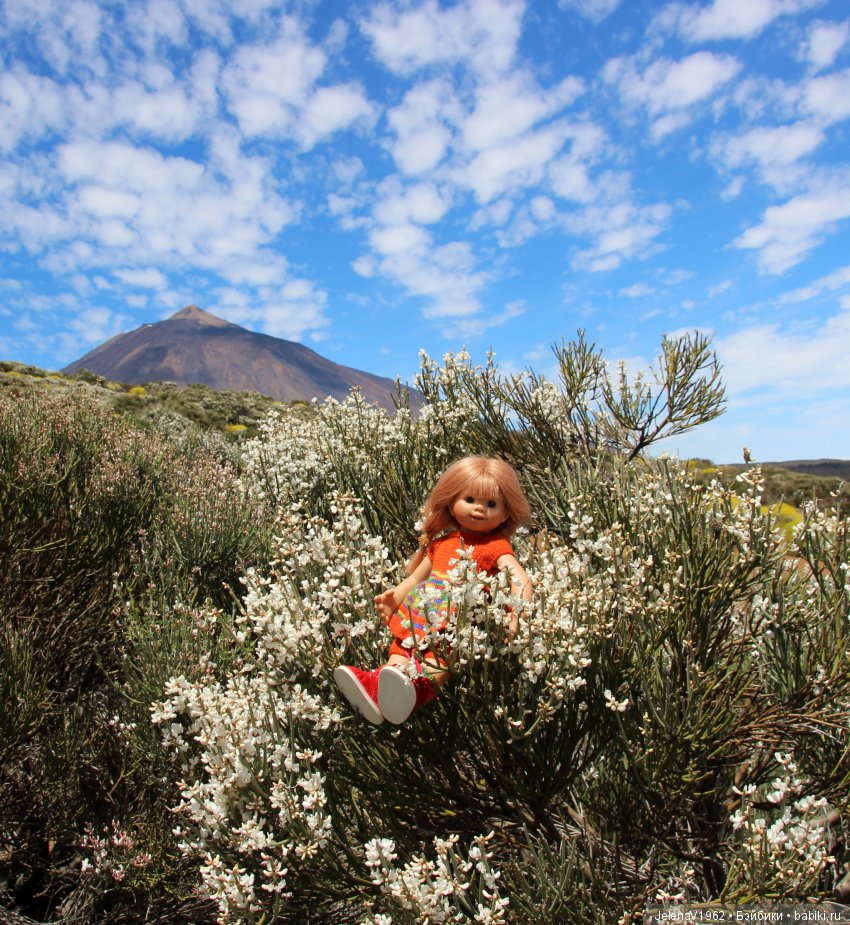 Удивительные цветы Тенерифе глазами Вихтелей