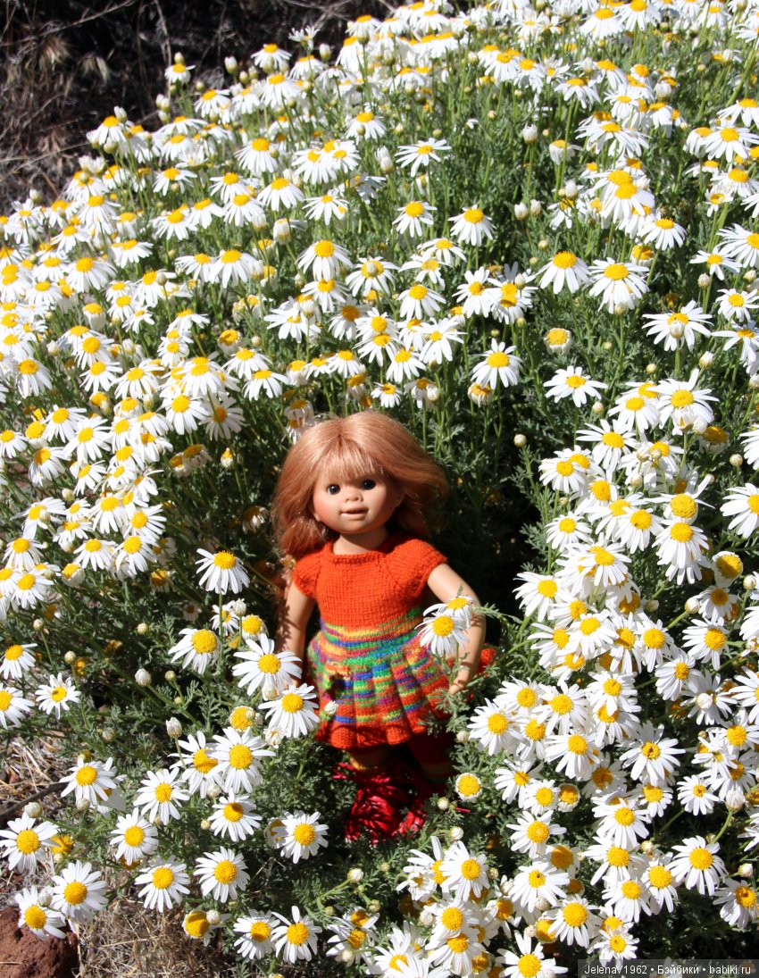 Удивительные цветы Тенерифе глазами Вихтелей