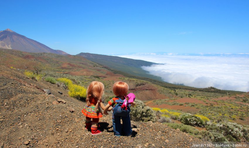 Удивительные цветы Тенерифе глазами Вихтелей