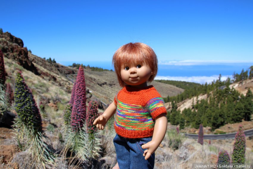 Удивительные цветы Тенерифе глазами Вихтелей