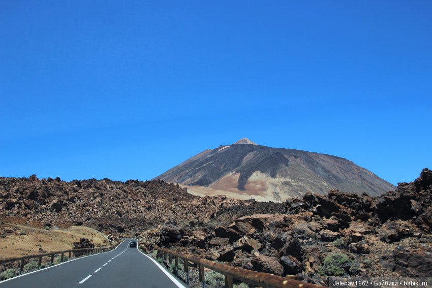 Удивительные цветы Тенерифе глазами Вихтелей