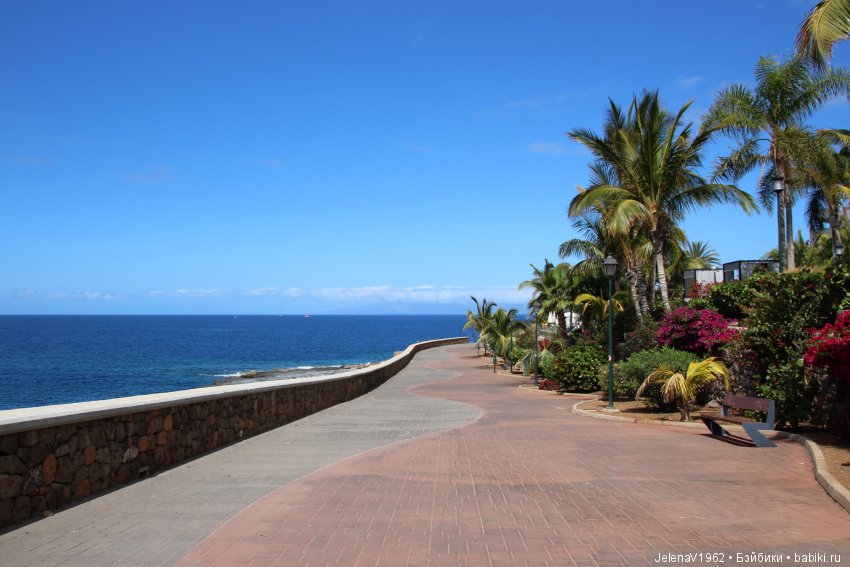 Удивительные цветы Тенерифе глазами Вихтелей