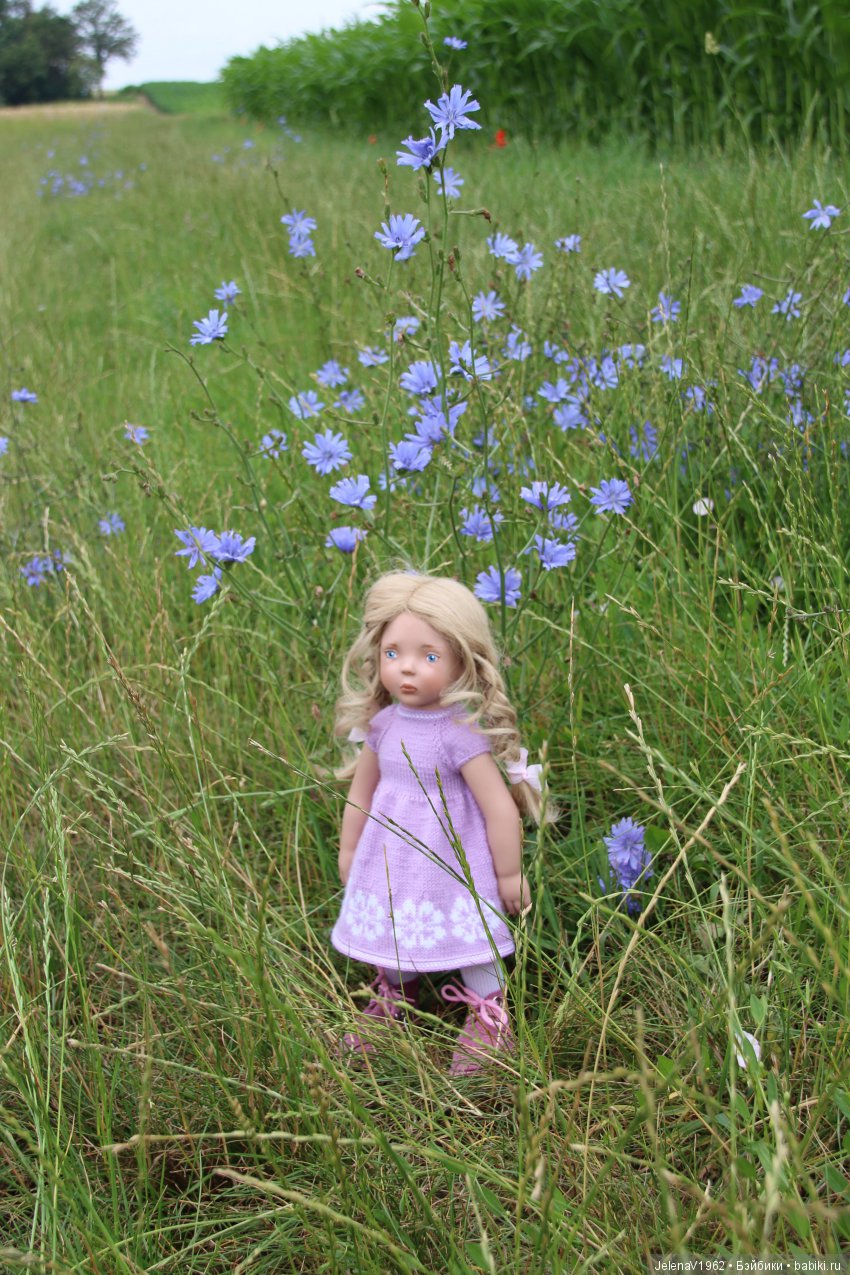 Пополнение в моём семействе Цвергназе. Ирмхен и летние прогулки