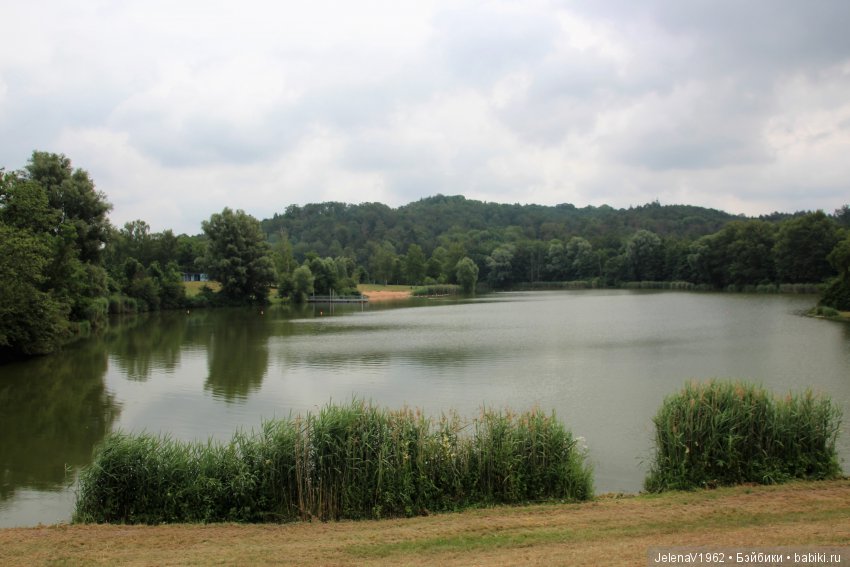 Пополнение в моём семействе Цвергназе. Ирмхен и летние прогулки