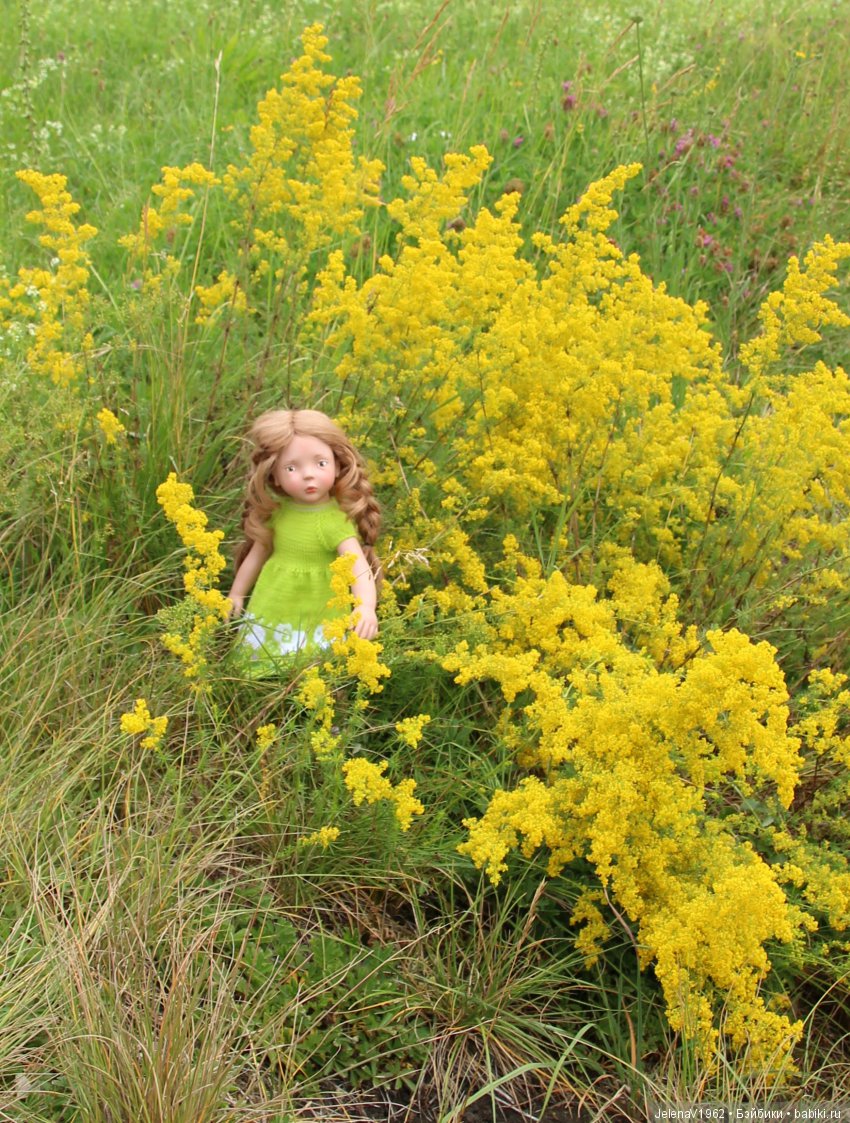 Пополнение в моём семействе Цвергназе. Ирмхен и летние прогулки