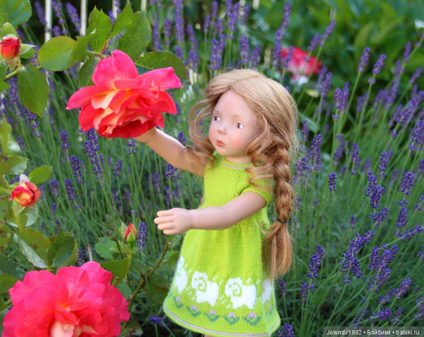 Пополнение в моём семействе Цвергназе. Ирмхен и летние прогулки