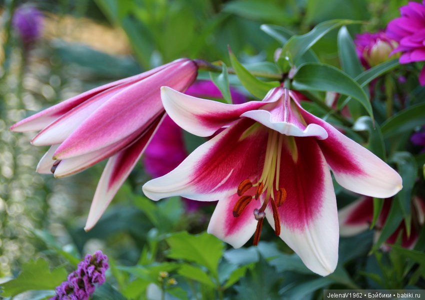 Одна выкройка, три платья и много желающих примерить