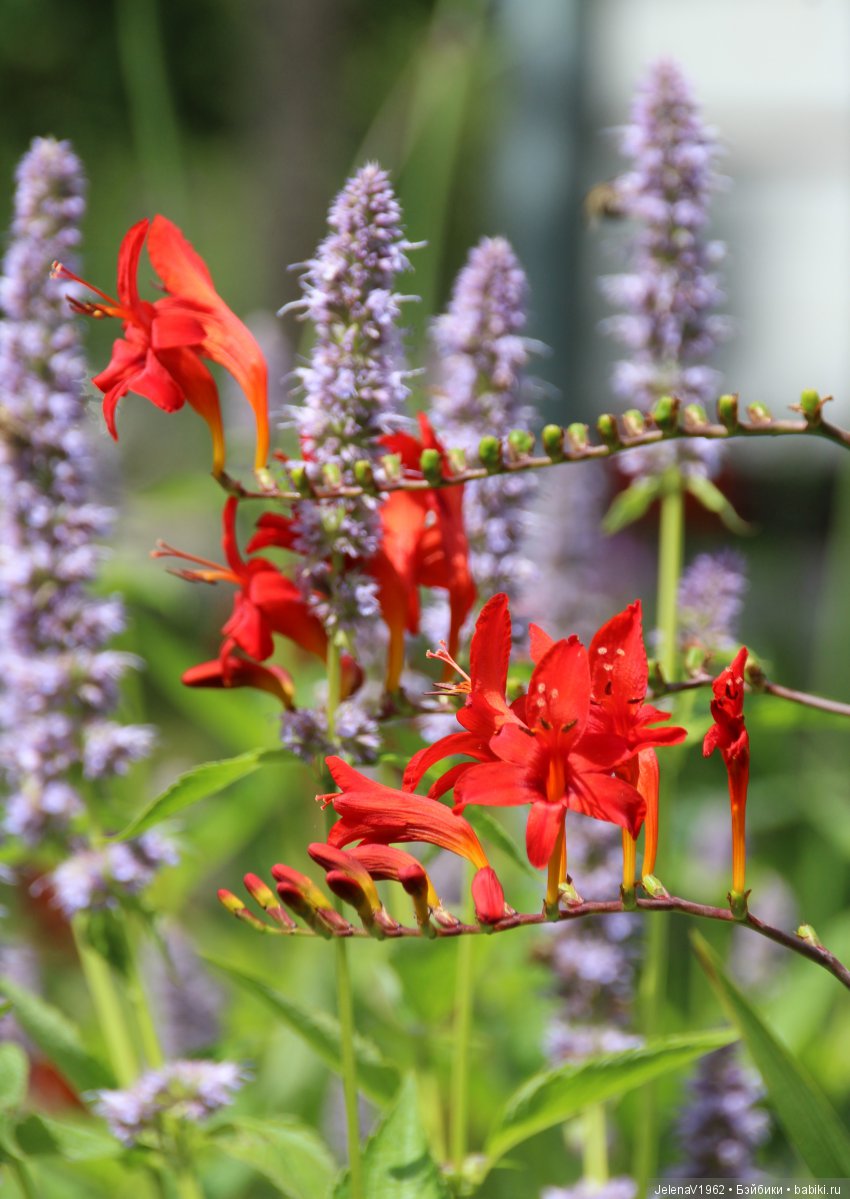 Одна выкройка, три платья и много желающих примерить