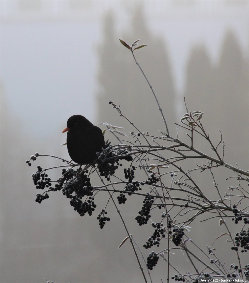Мои рождественские Цверги. Одежда своими руками
