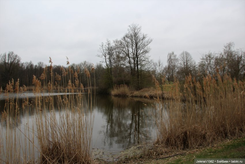 Сашка, Саша, Александра. Диана Эффнер для Ruby Red Fashion Friends