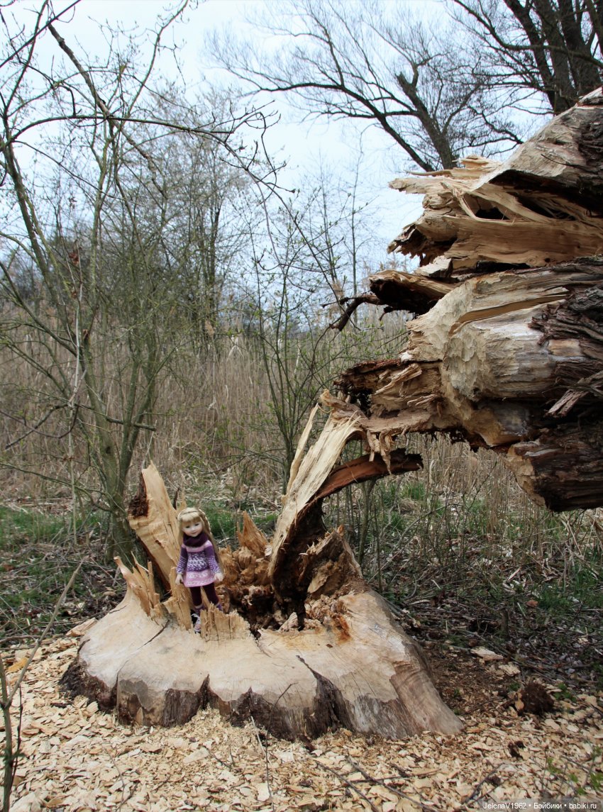 Сашка, Саша, Александра. Диана Эффнер для Ruby Red Fashion Friends