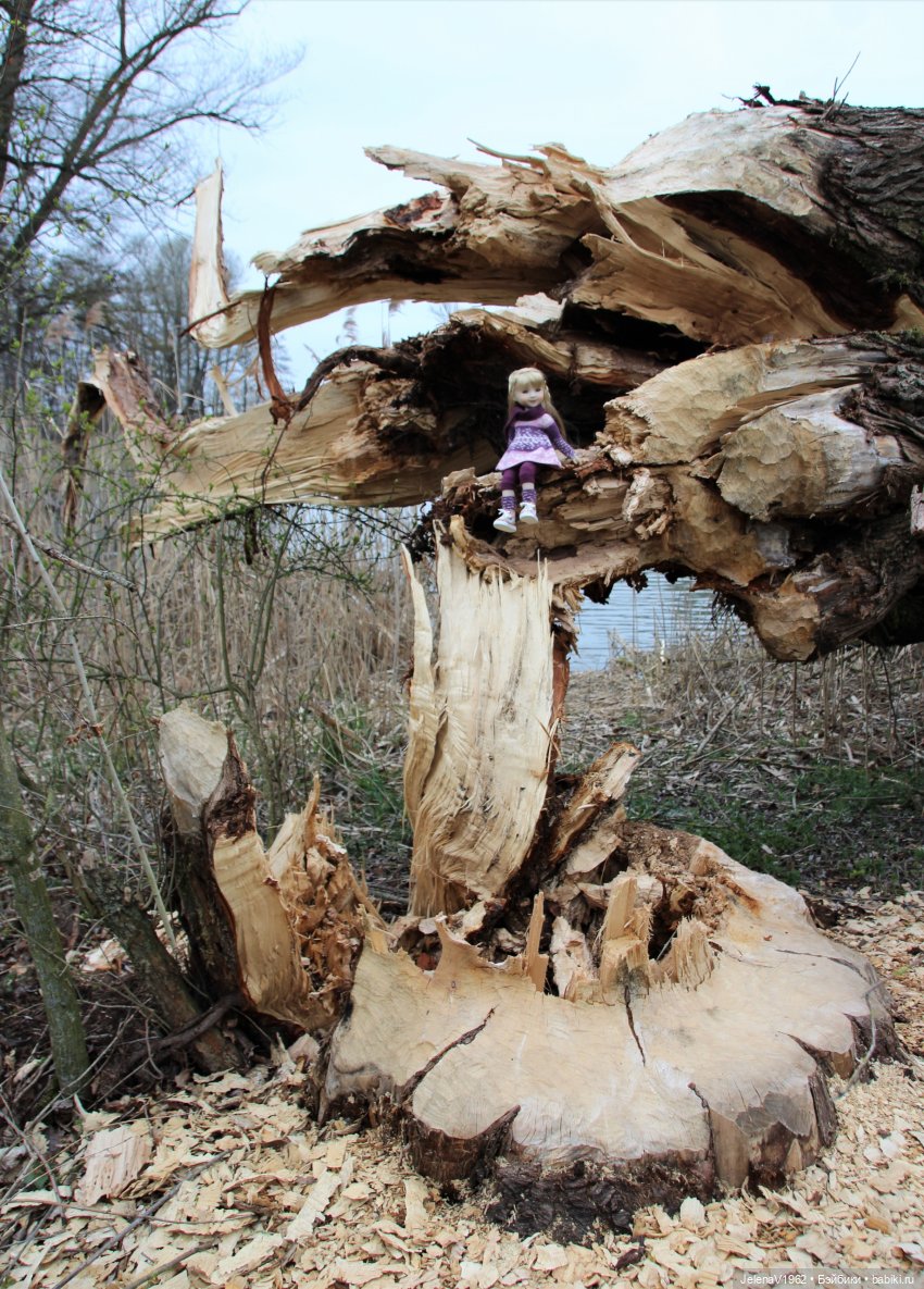 Сашка, Саша, Александра. Диана Эффнер для Ruby Red Fashion Friends