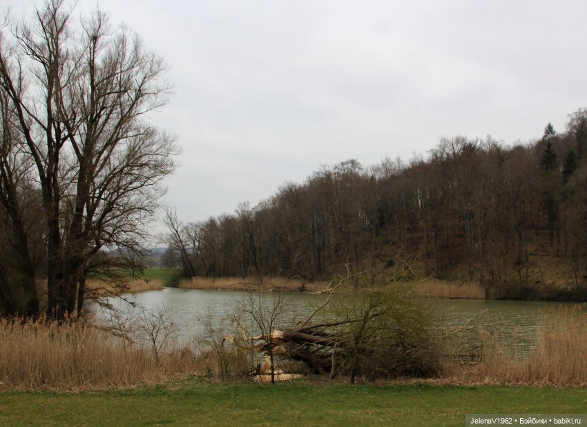 Сашка, Саша, Александра. Диана Эффнер для Ruby Red Fashion Friends