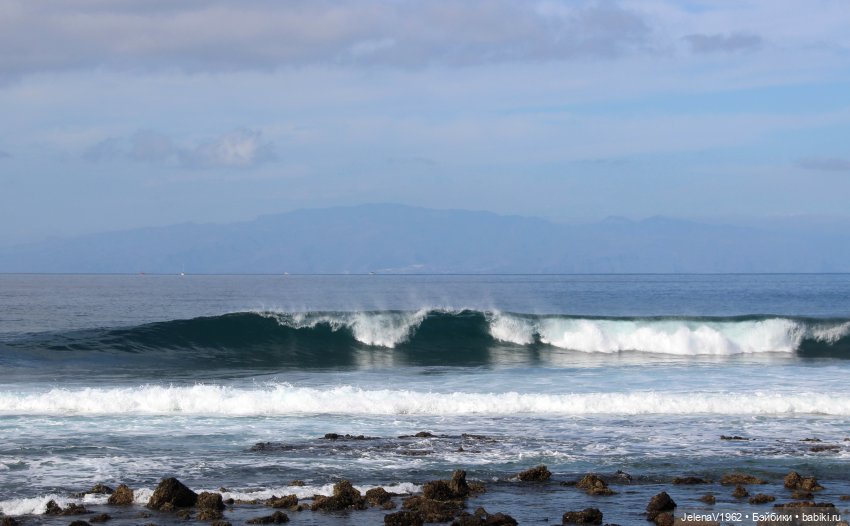 Морская прогулка с Сашкой и не только (фото 2)