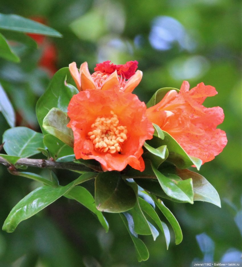 Морская прогулка с Сашкой и не только