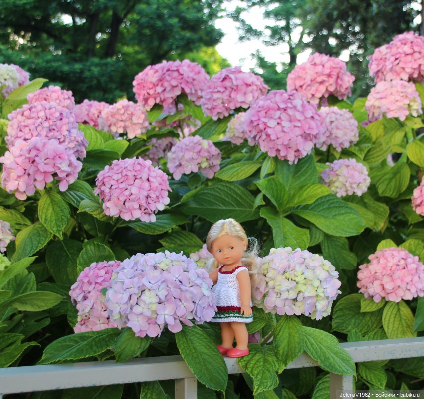 Морская прогулка с Сашкой и не только