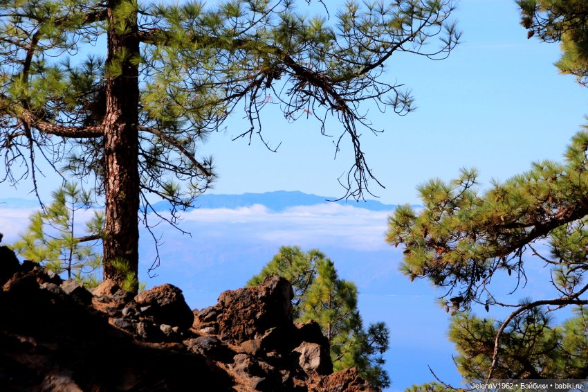 Морская прогулка с Сашкой и не только (фото 3)