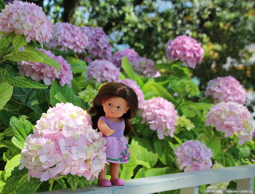 Морская прогулка с Сашкой и не только